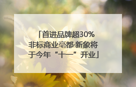 首进品牌超30% 非标商业亳都·新象将于今年“十一”开业
